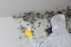 Best Industrial Mold Remediation  in Groesbeck, OH